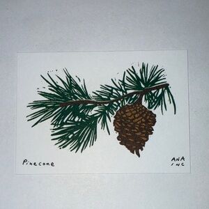Ana Inciardi Mini Print, Pinecone